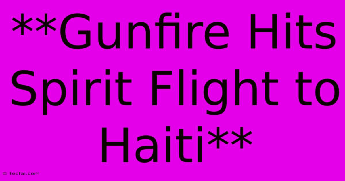 **Gunfire Hits Spirit Flight To Haiti**