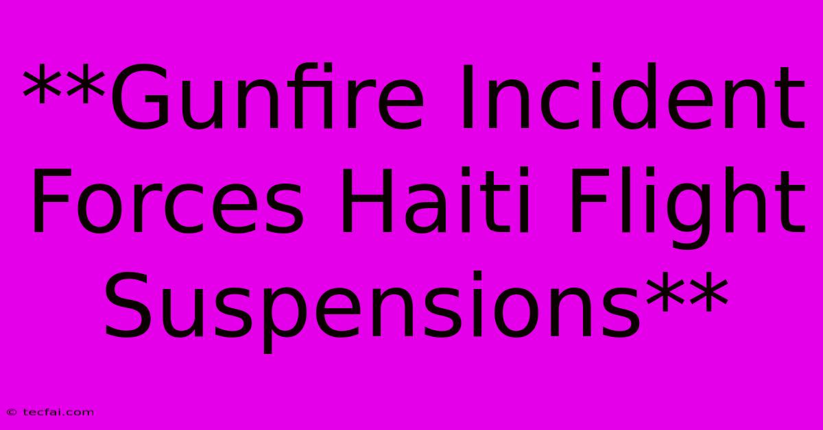 **Gunfire Incident Forces Haiti Flight Suspensions**