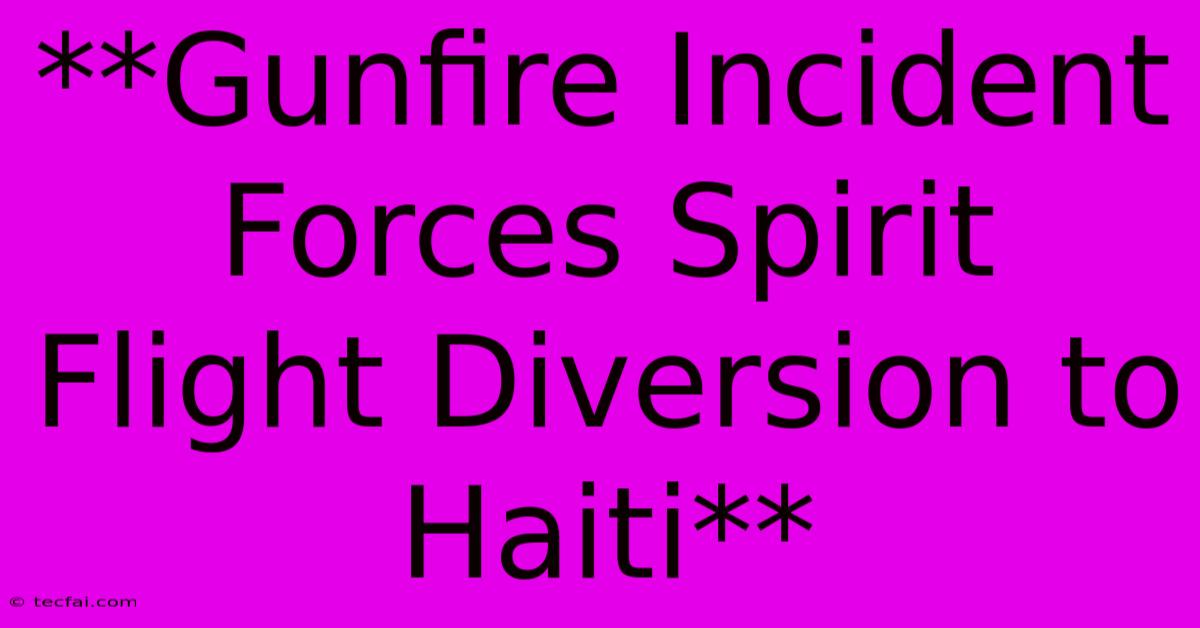 **Gunfire Incident Forces Spirit Flight Diversion To Haiti**