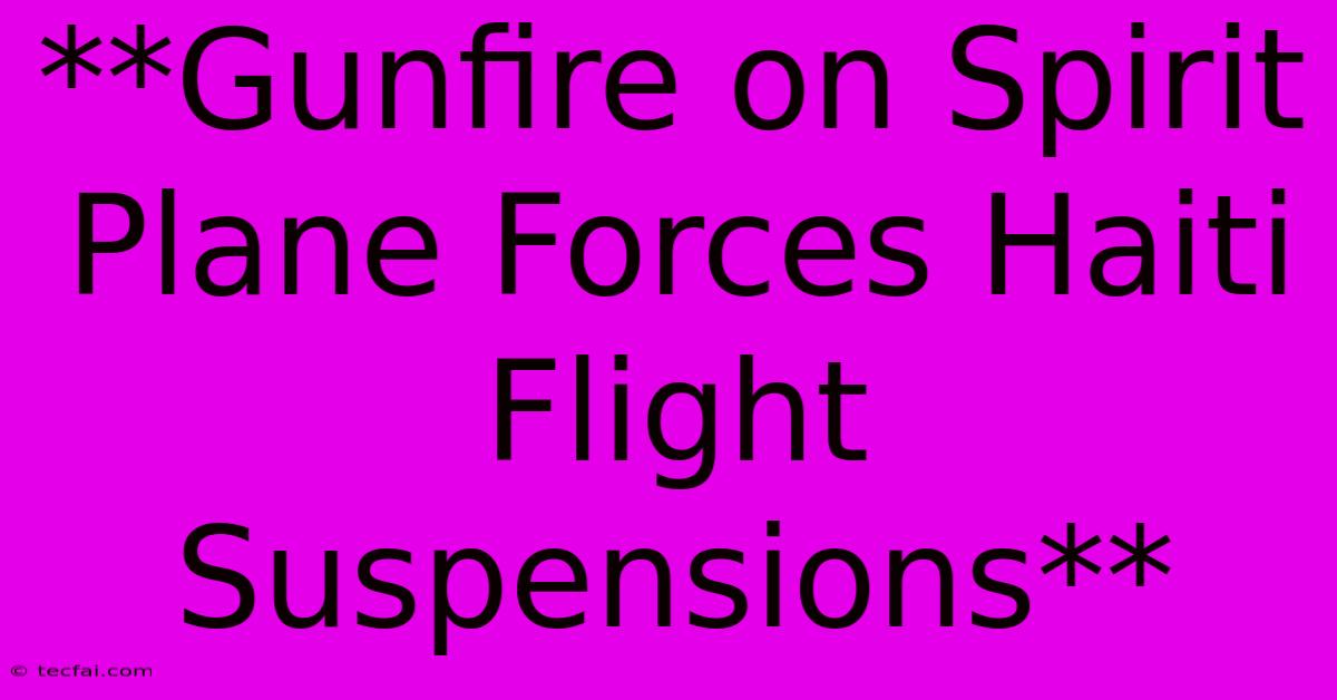 **Gunfire On Spirit Plane Forces Haiti Flight Suspensions**