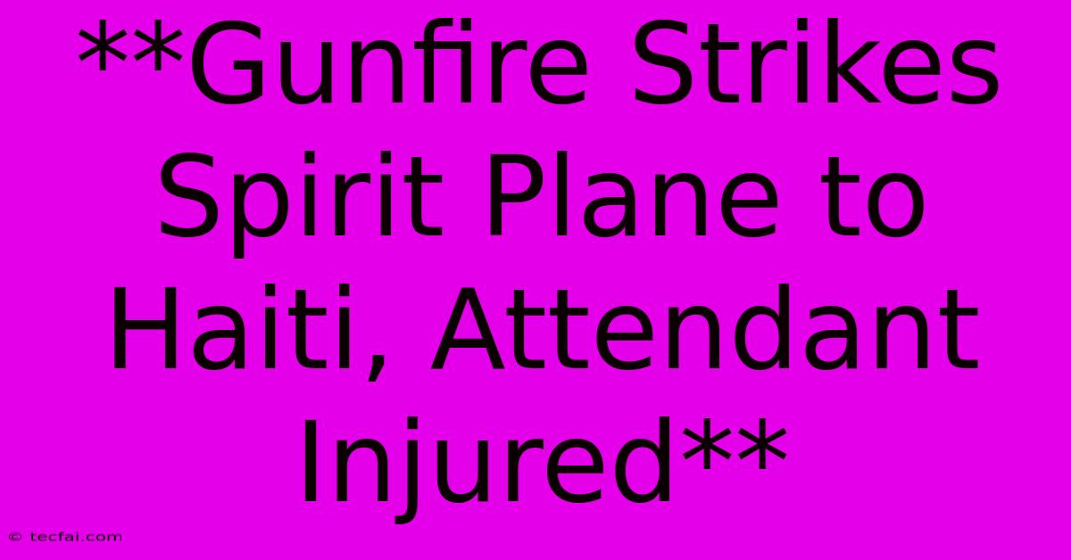 **Gunfire Strikes Spirit Plane To Haiti, Attendant Injured**