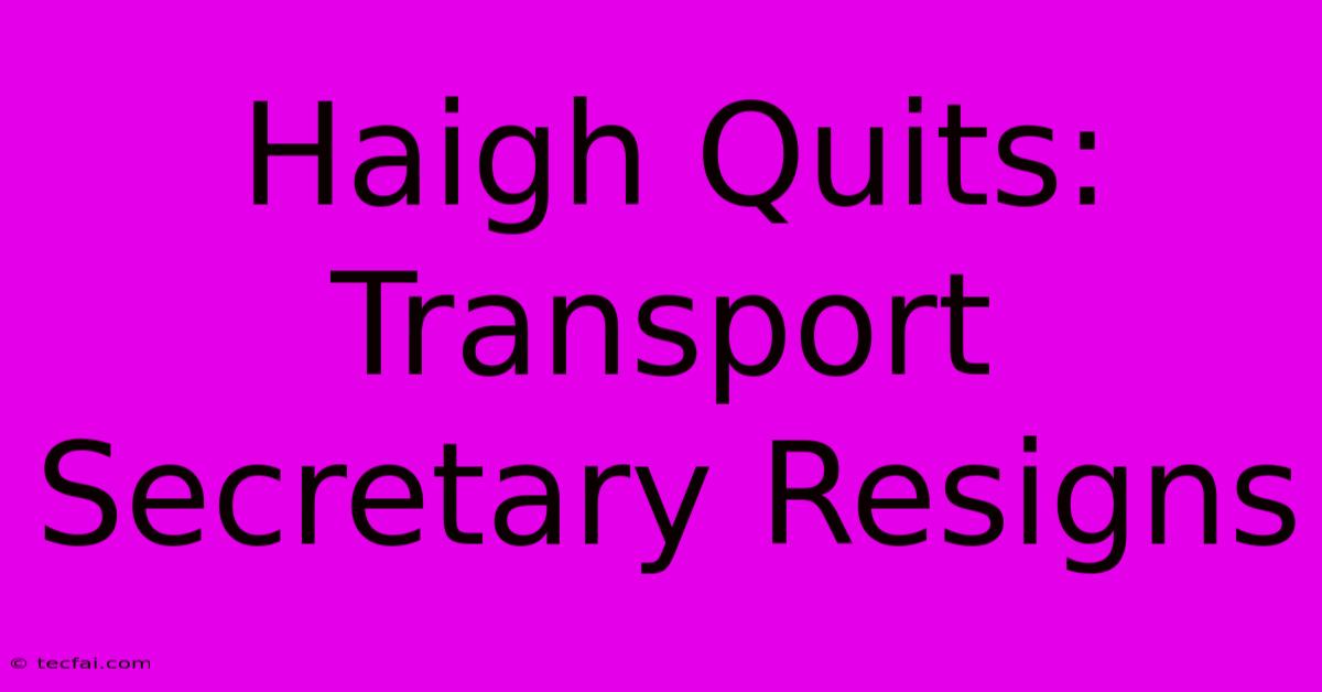 Haigh Quits: Transport Secretary Resigns