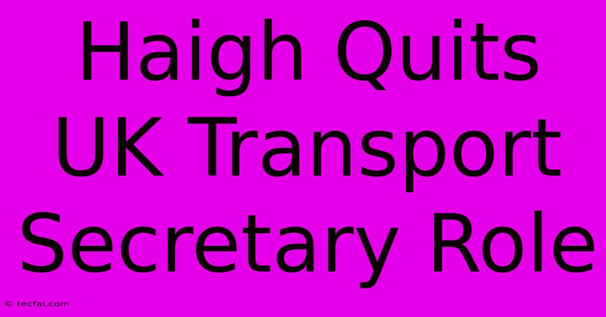 Haigh Quits UK Transport Secretary Role