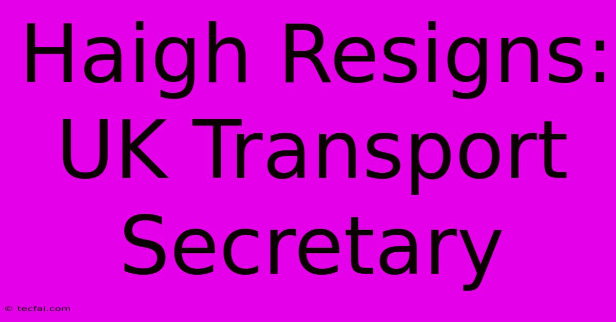 Haigh Resigns: UK Transport Secretary