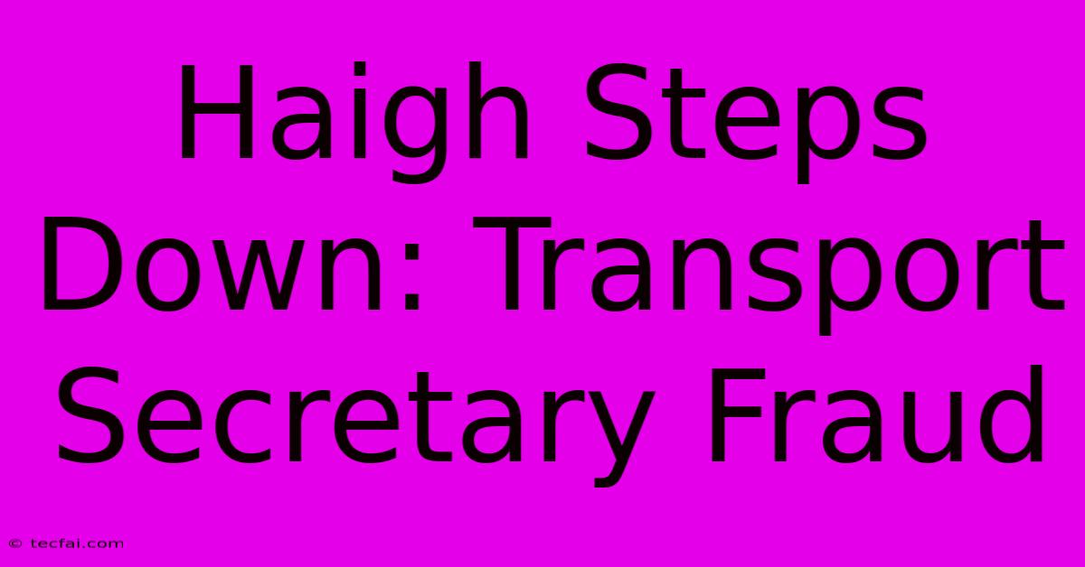 Haigh Steps Down: Transport Secretary Fraud