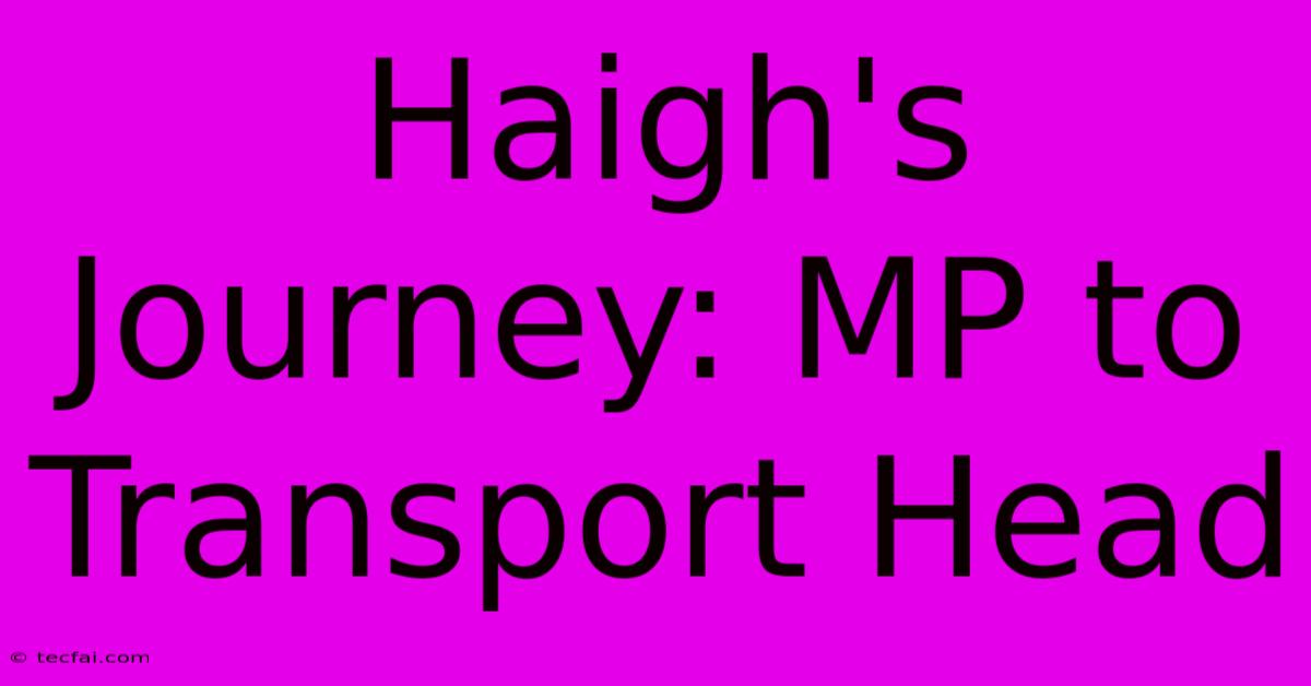 Haigh's Journey: MP To Transport Head