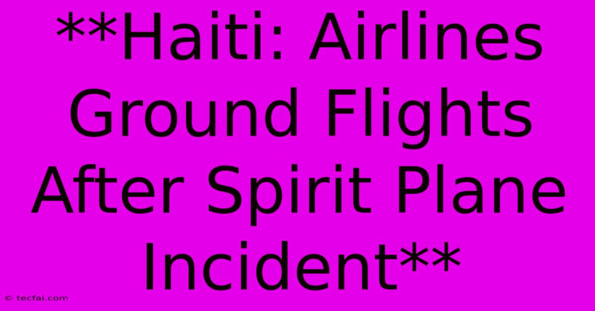 **Haiti: Airlines Ground Flights After Spirit Plane Incident**