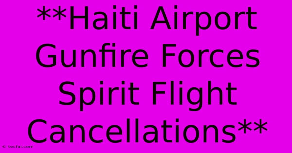 **Haiti Airport Gunfire Forces Spirit Flight Cancellations** 