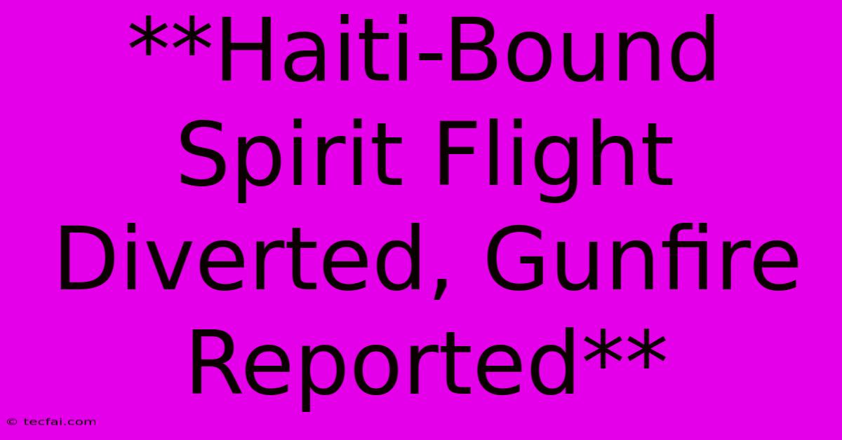 **Haiti-Bound Spirit Flight Diverted, Gunfire Reported**