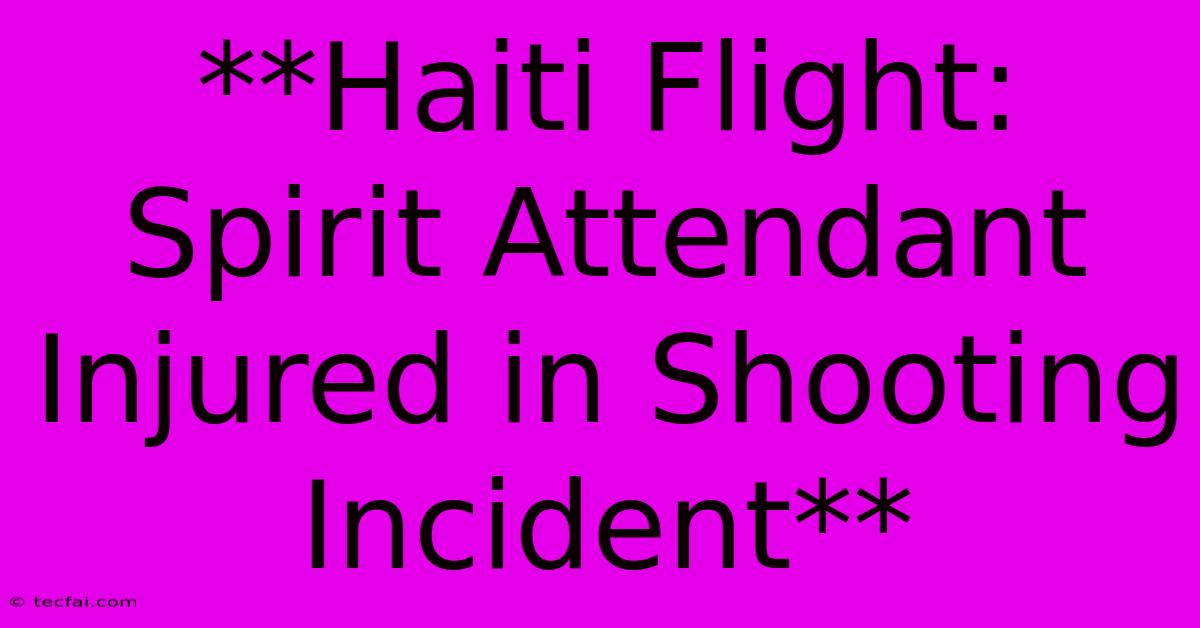 **Haiti Flight: Spirit Attendant Injured In Shooting Incident**