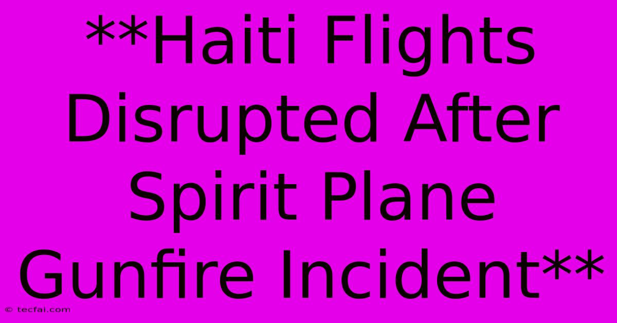 **Haiti Flights Disrupted After Spirit Plane Gunfire Incident**