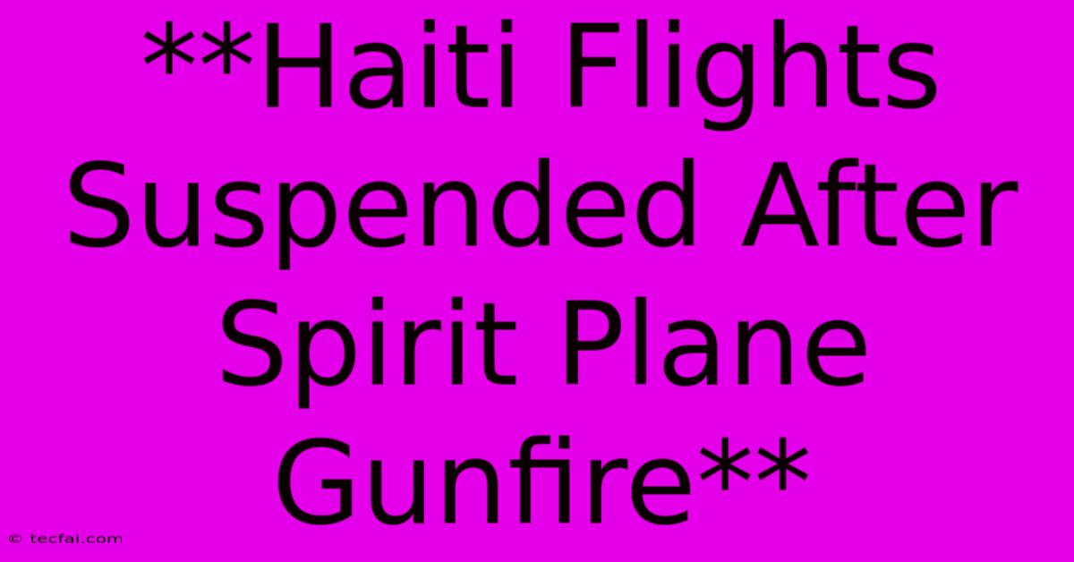 **Haiti Flights Suspended After Spirit Plane Gunfire**