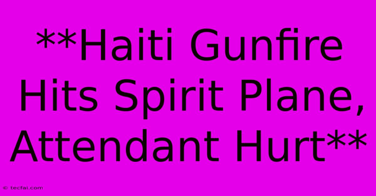 **Haiti Gunfire Hits Spirit Plane, Attendant Hurt**