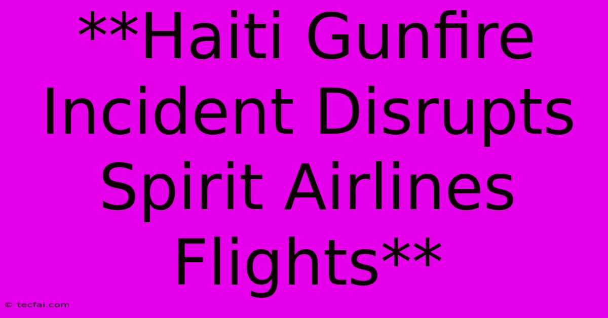 **Haiti Gunfire Incident Disrupts Spirit Airlines Flights**