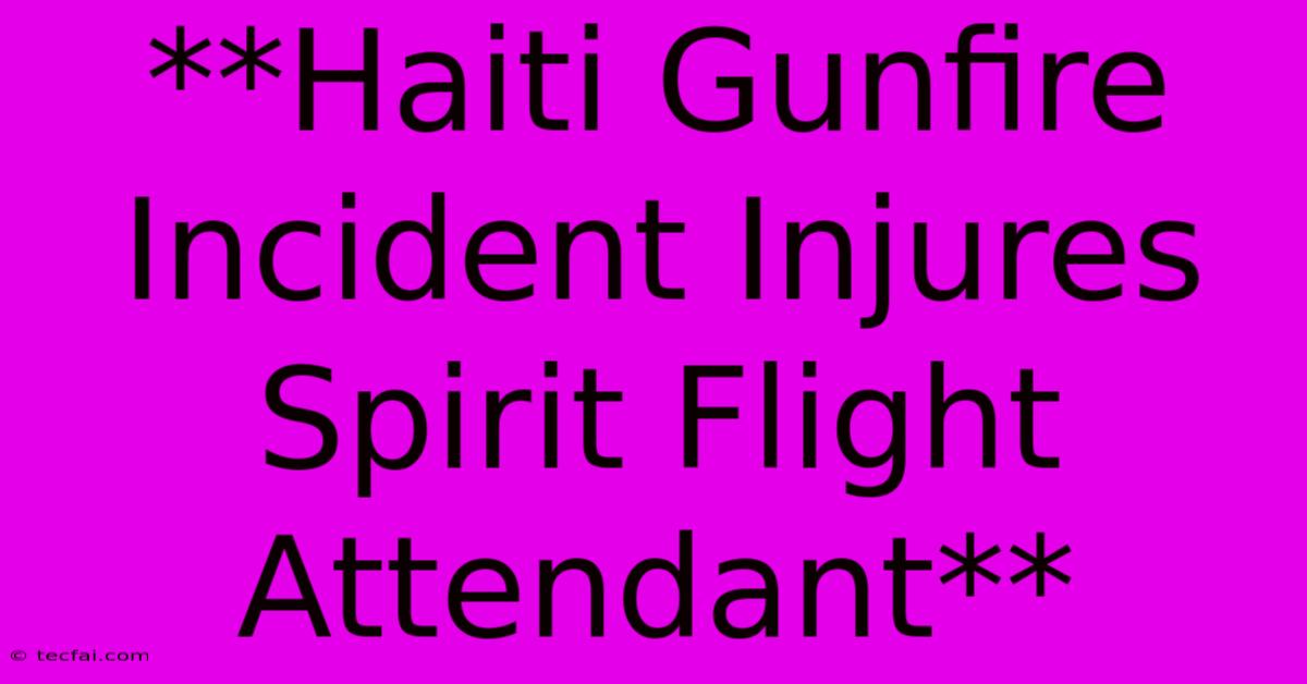 **Haiti Gunfire Incident Injures Spirit Flight Attendant** 