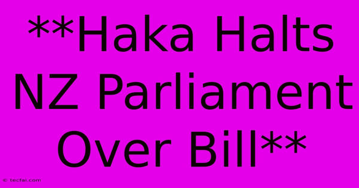 **Haka Halts NZ Parliament Over Bill**