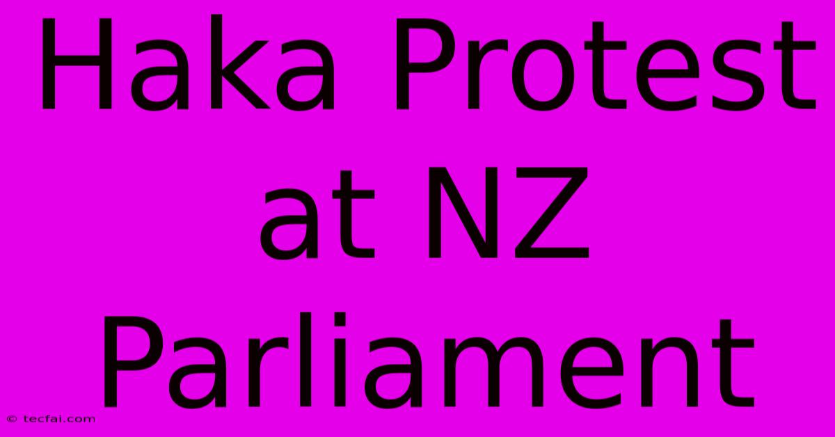 Haka Protest At NZ Parliament