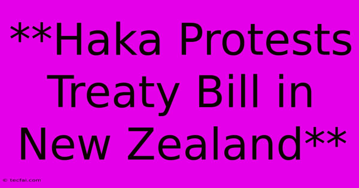 **Haka Protests Treaty Bill In New Zealand**