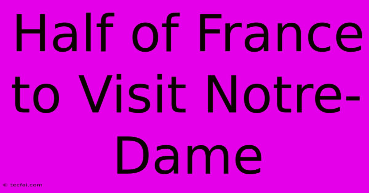 Half Of France To Visit Notre-Dame