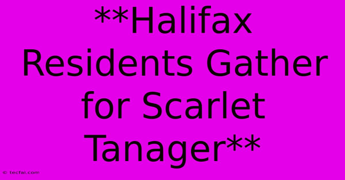 **Halifax Residents Gather For Scarlet Tanager**