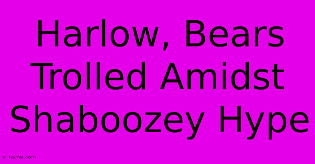 Harlow, Bears Trolled Amidst Shaboozey Hype