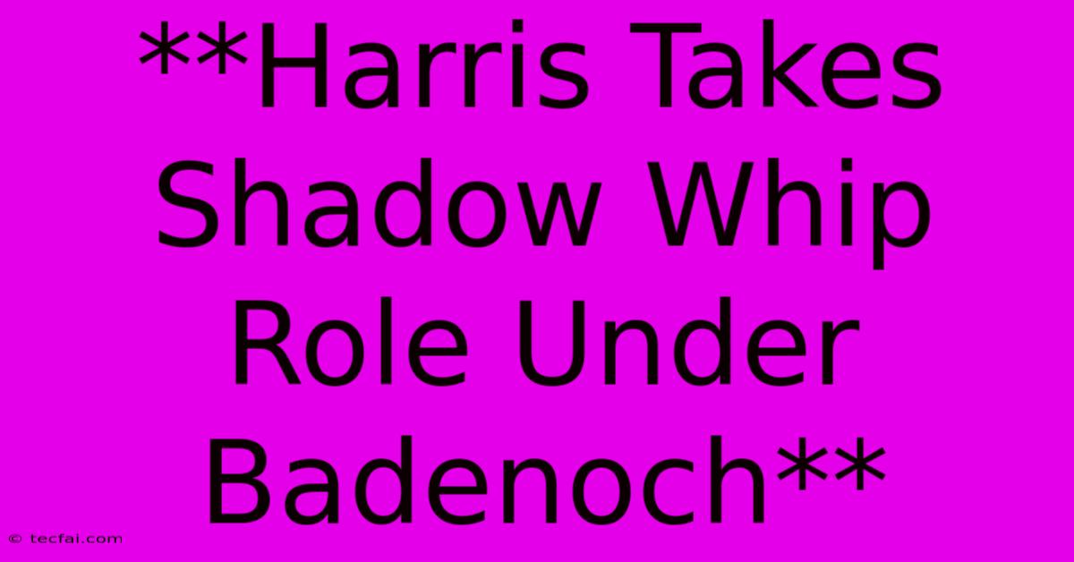 **Harris Takes Shadow Whip Role Under Badenoch**