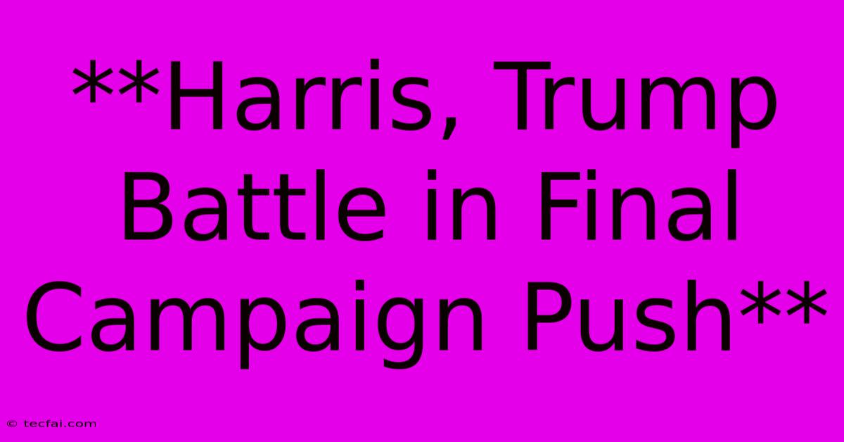 **Harris, Trump Battle In Final Campaign Push**