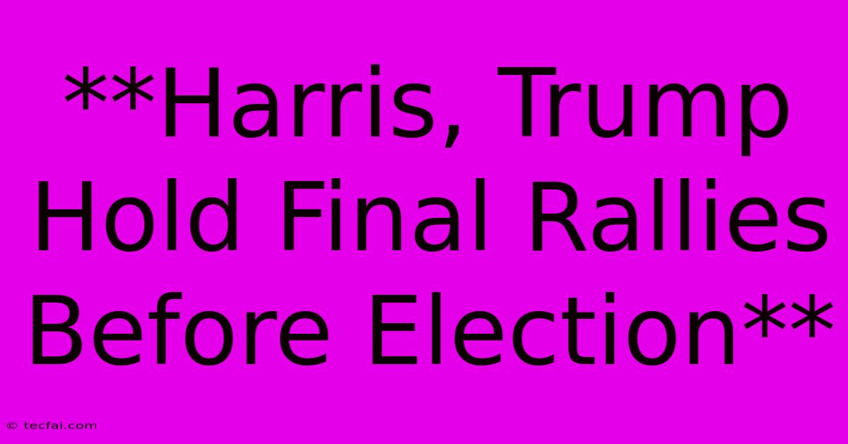 **Harris, Trump Hold Final Rallies Before Election**