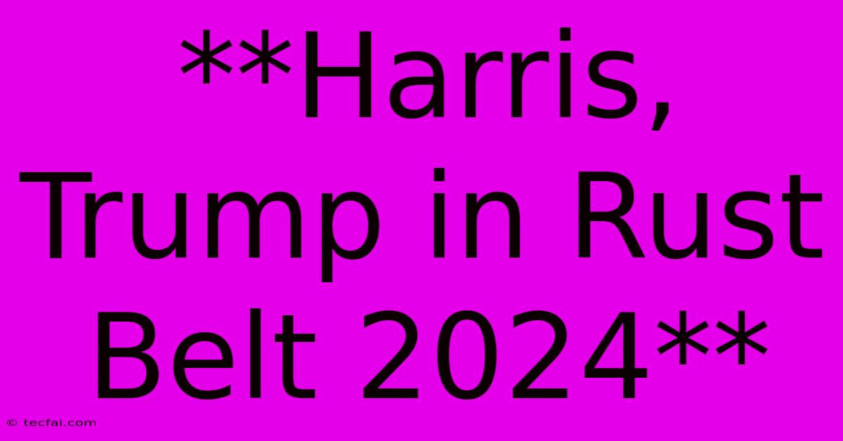 **Harris, Trump In Rust Belt 2024**