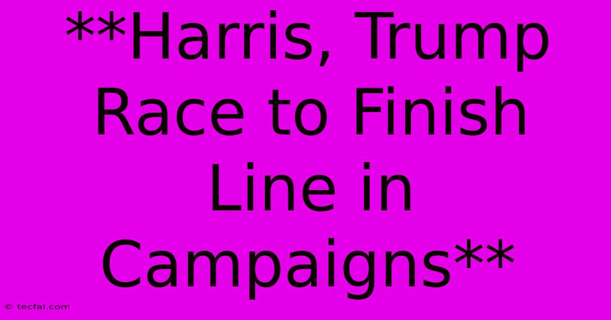 **Harris, Trump Race To Finish Line In Campaigns**