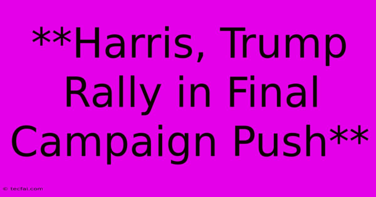 **Harris, Trump Rally In Final Campaign Push**