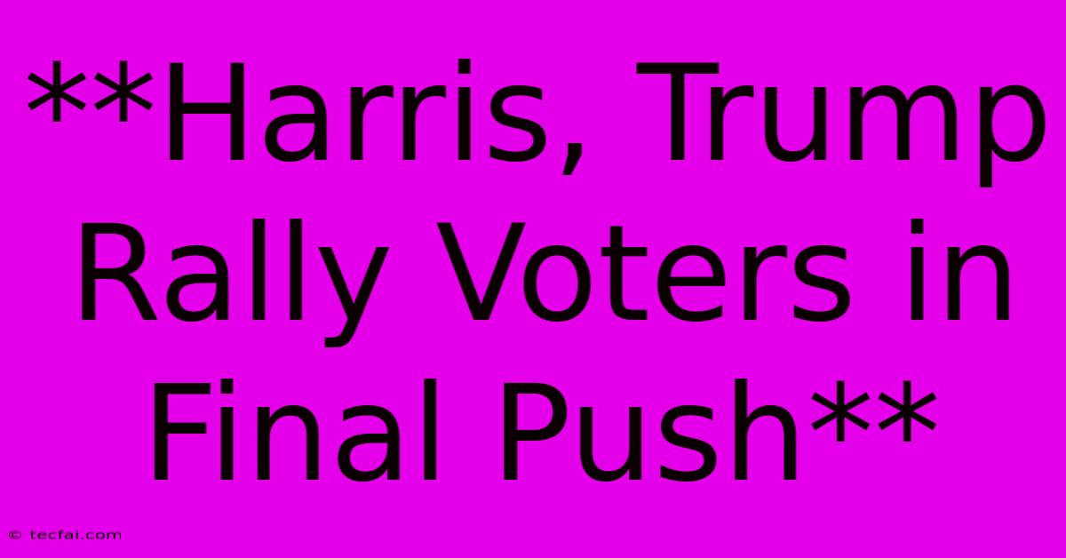 **Harris, Trump Rally Voters In Final Push**