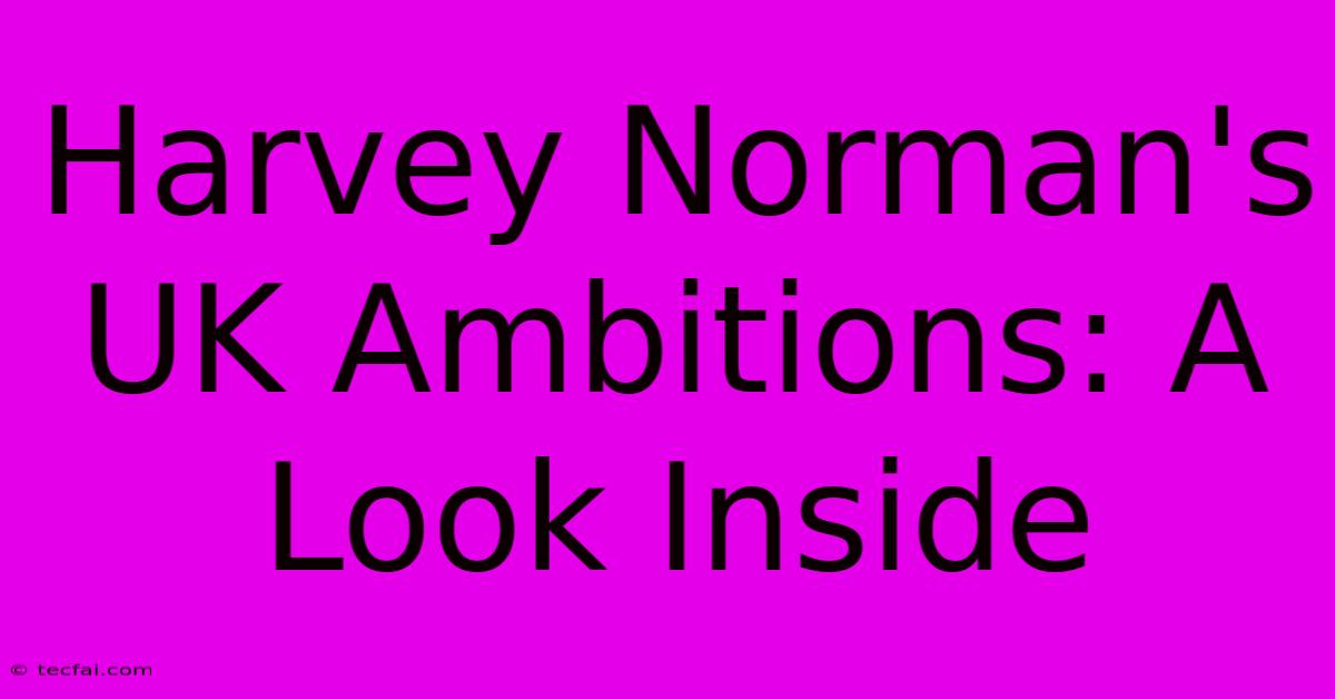 Harvey Norman's UK Ambitions: A Look Inside