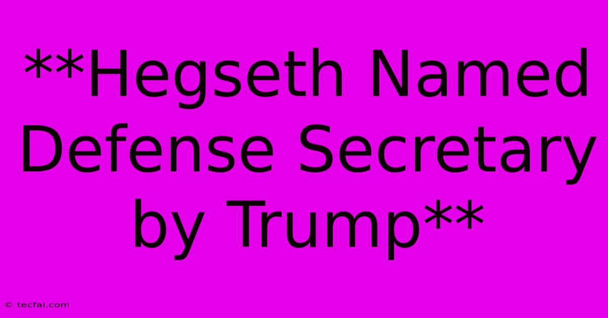 **Hegseth Named Defense Secretary By Trump**