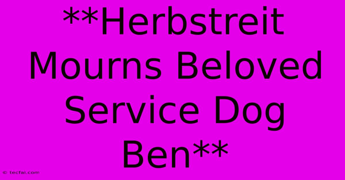 **Herbstreit Mourns Beloved Service Dog Ben**