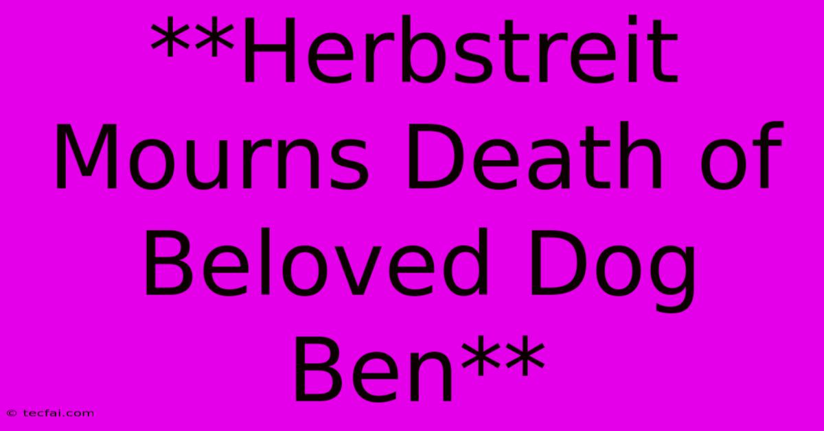 **Herbstreit Mourns Death Of Beloved Dog Ben**