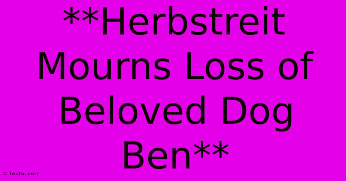 **Herbstreit Mourns Loss Of Beloved Dog Ben**