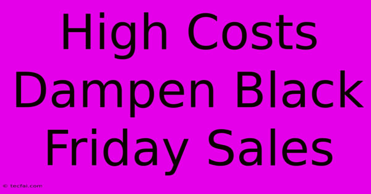 High Costs Dampen Black Friday Sales