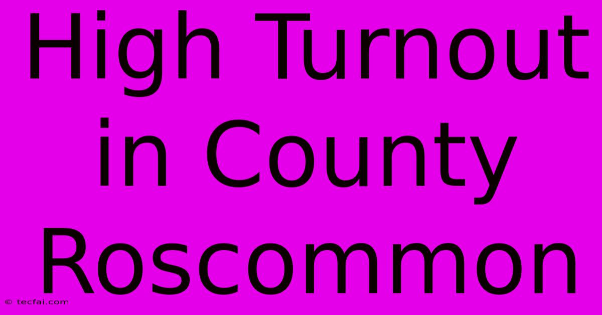 High Turnout In County Roscommon