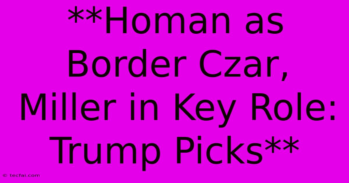 **Homan As Border Czar, Miller In Key Role: Trump Picks**