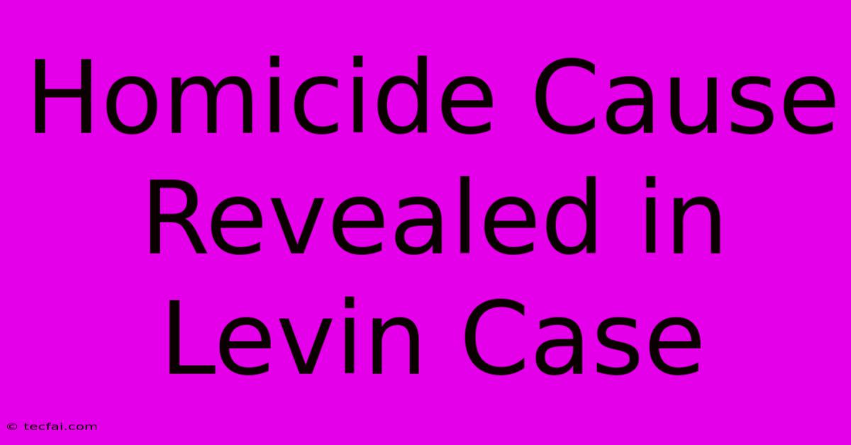 Homicide Cause Revealed In Levin Case