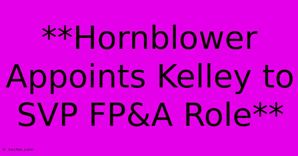 **Hornblower Appoints Kelley To SVP FP&A Role** 