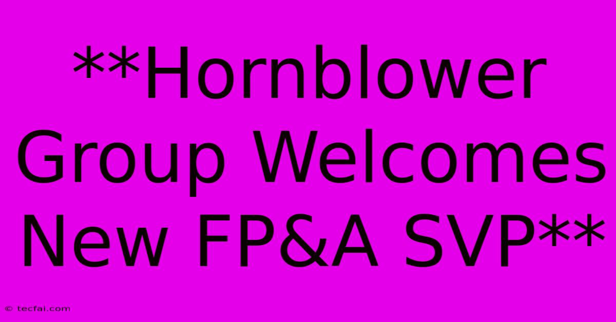 **Hornblower Group Welcomes New FP&A SVP**