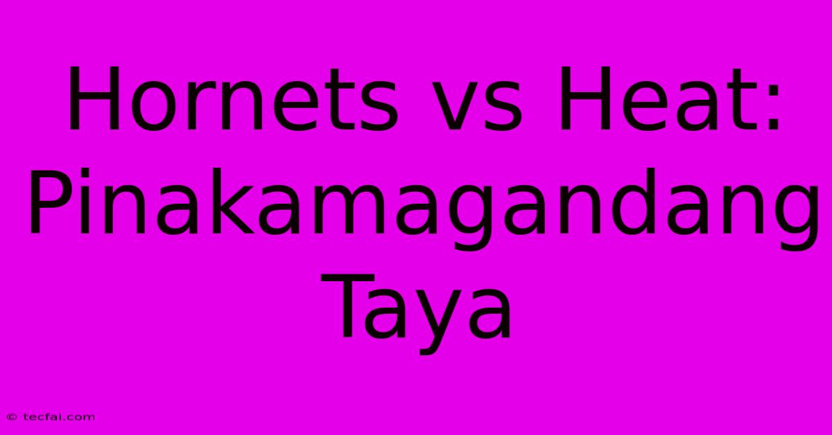 Hornets Vs Heat:  Pinakamagandang Taya