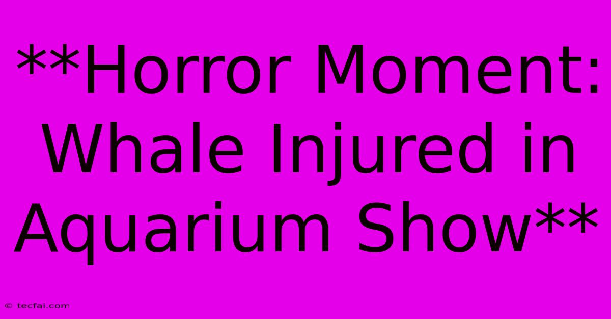 **Horror Moment: Whale Injured In Aquarium Show**