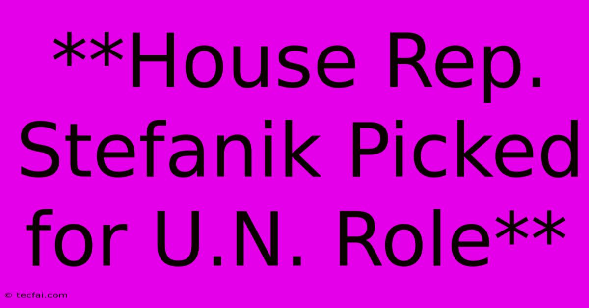 **House Rep. Stefanik Picked For U.N. Role** 