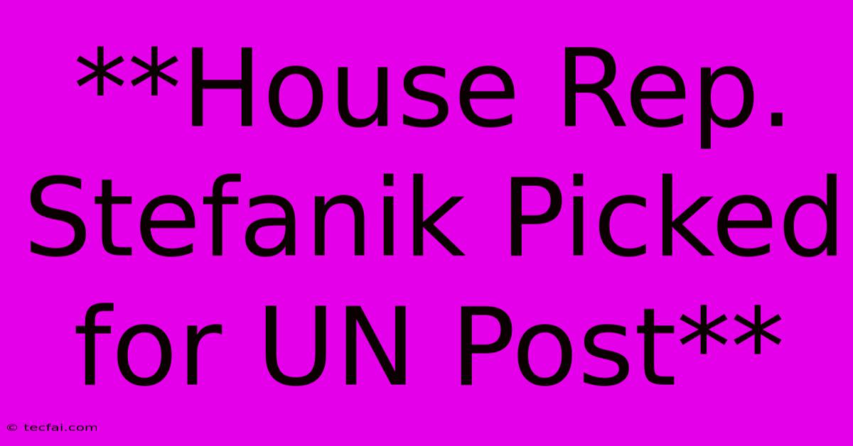 **House Rep. Stefanik Picked For UN Post** 