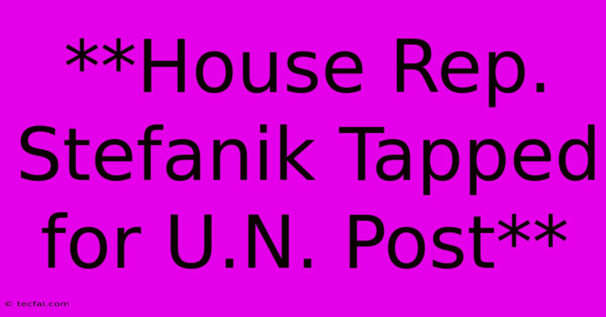 **House Rep. Stefanik Tapped For U.N. Post** 