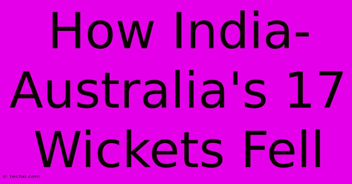 How India-Australia's 17 Wickets Fell