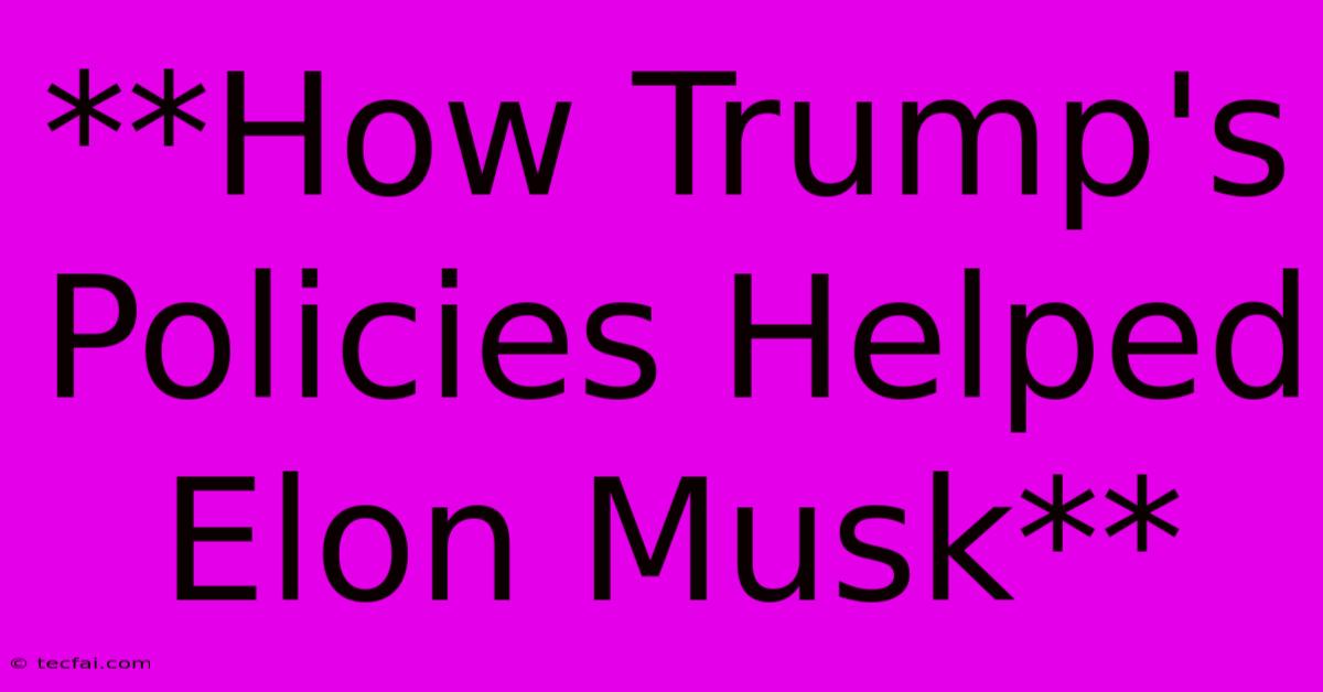 **How Trump's Policies Helped Elon Musk** 